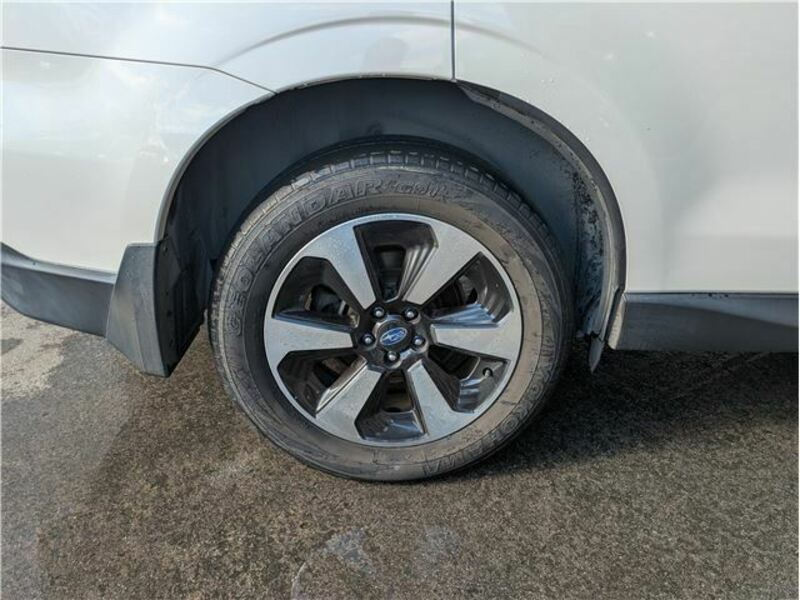 FORESTER-38