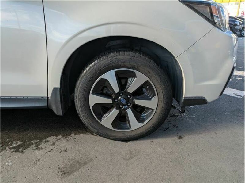 FORESTER-39