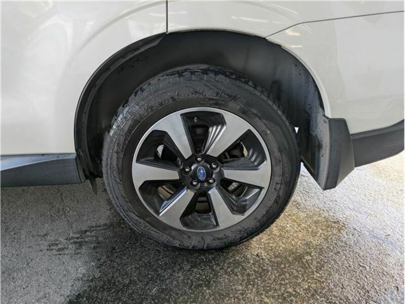 FORESTER-40