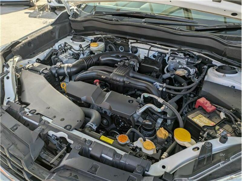 FORESTER-41