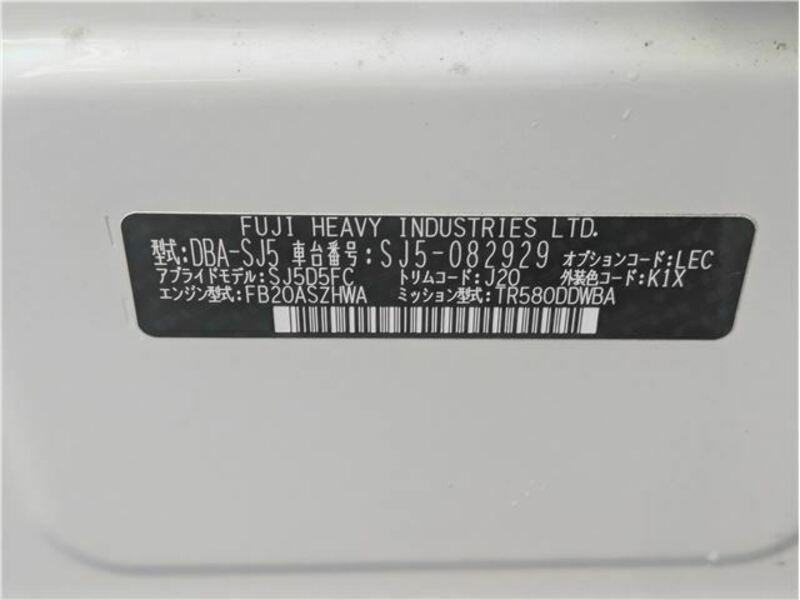 FORESTER-42