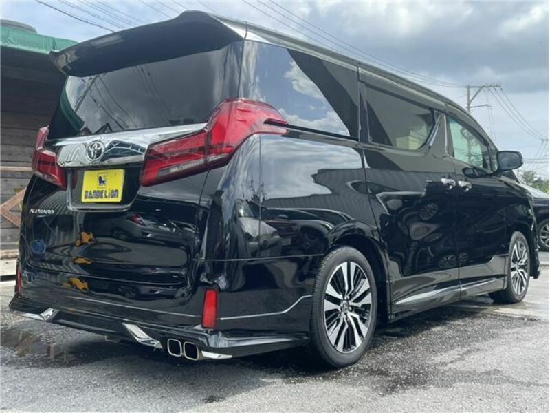 ALPHARD-6