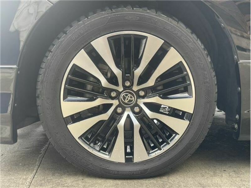 ALPHARD-11