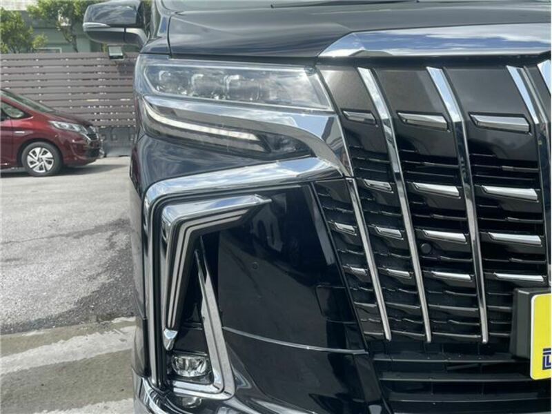 ALPHARD-14