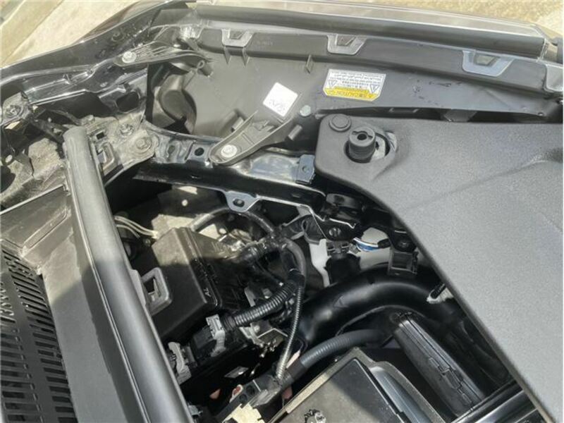 ALPHARD-15
