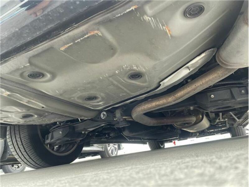 ALPHARD-16