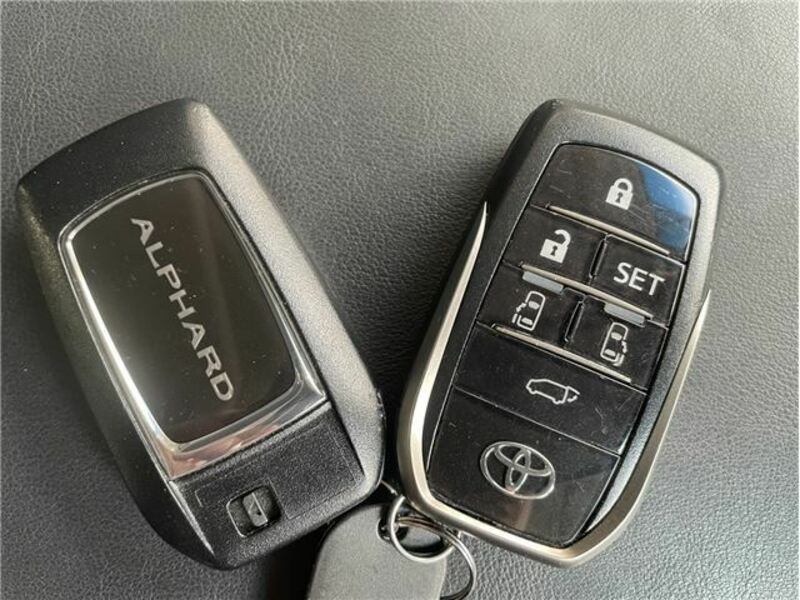 ALPHARD-26
