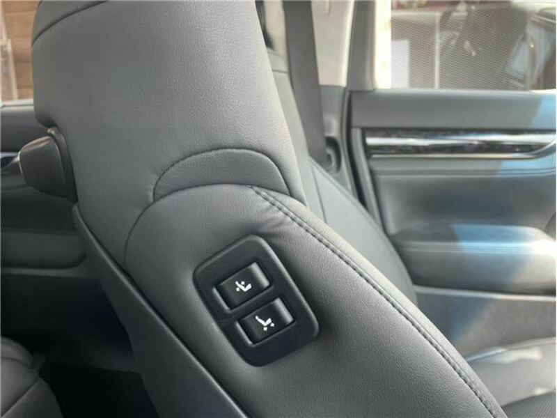 ALPHARD-28