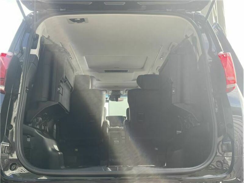 ALPHARD-39