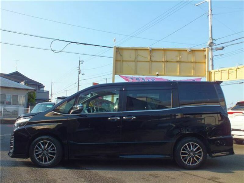 VOXY-11