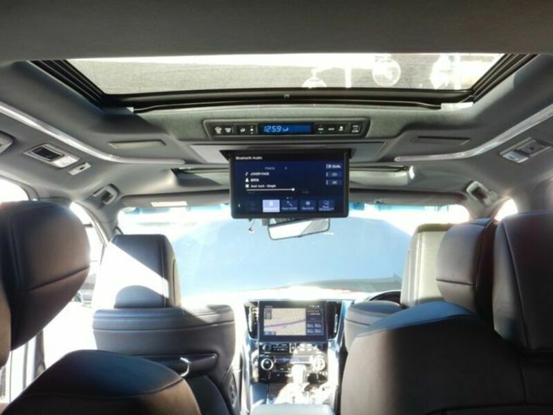 ALPHARD-19
