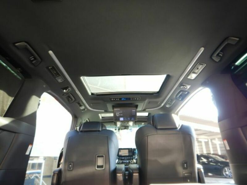 ALPHARD-25