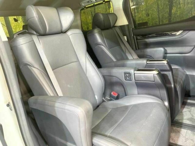ALPHARD-10