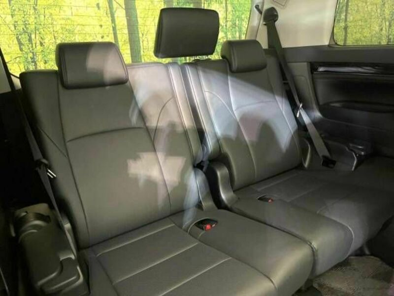 ALPHARD-11