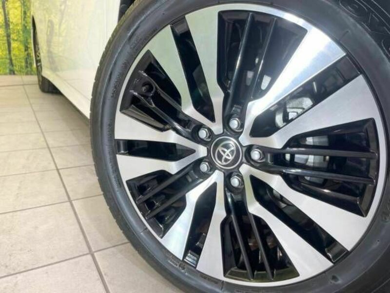 ALPHARD-14
