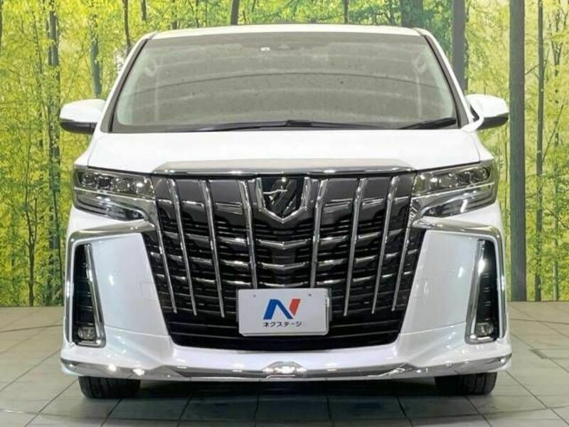 ALPHARD-15