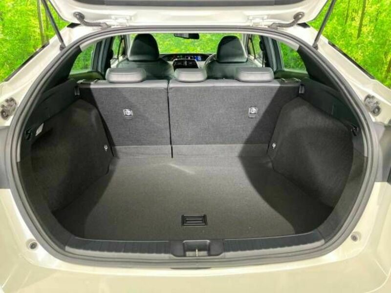 PRIUS-11