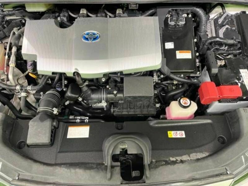 PRIUS-19