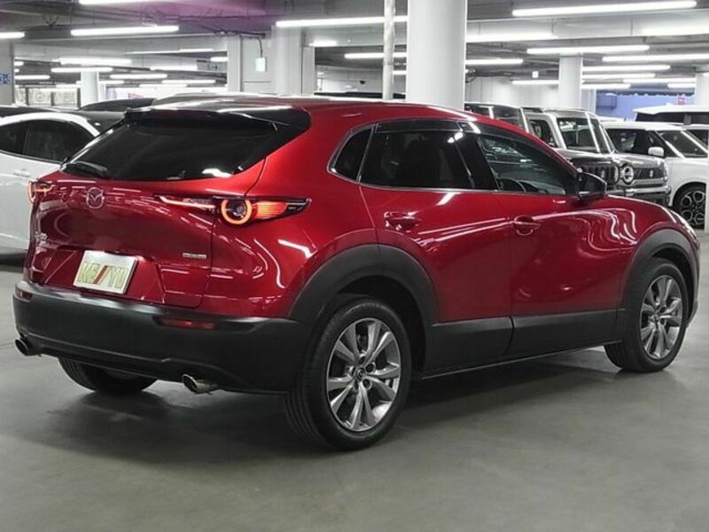 CX-30-1
