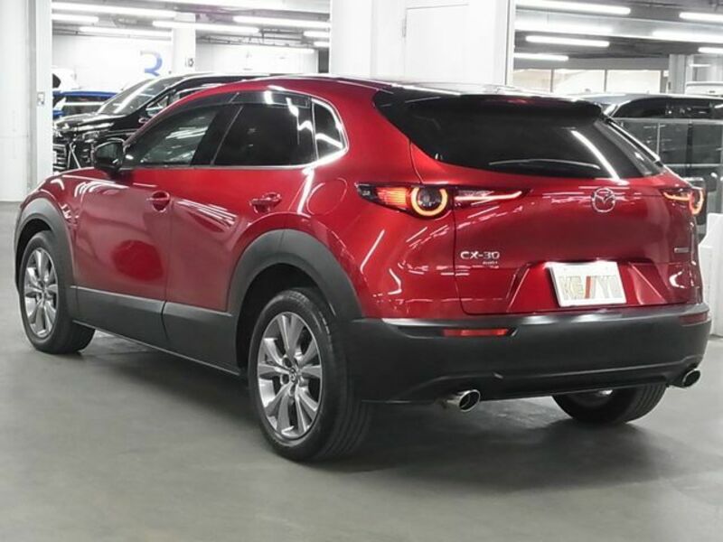 CX-30-6