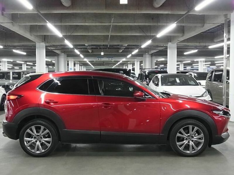 CX-30-7