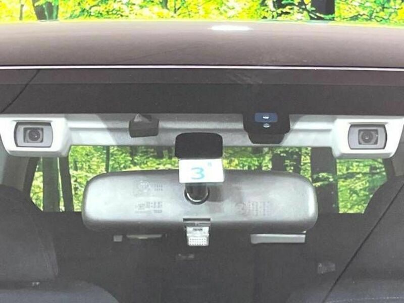 FORESTER-3
