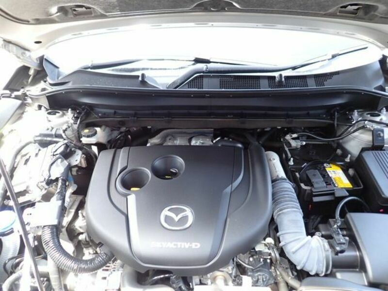 CX-8-24