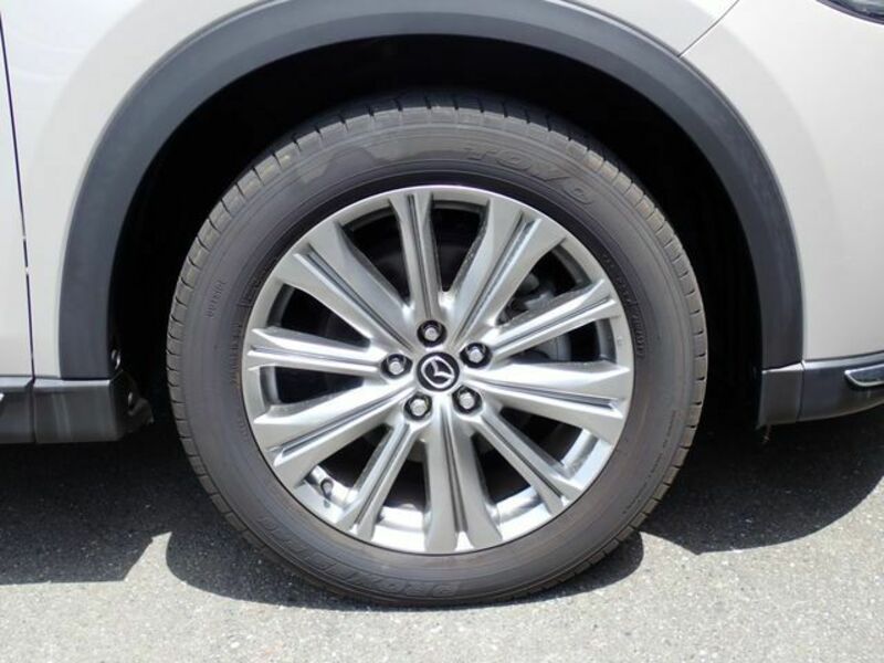 CX-8-28