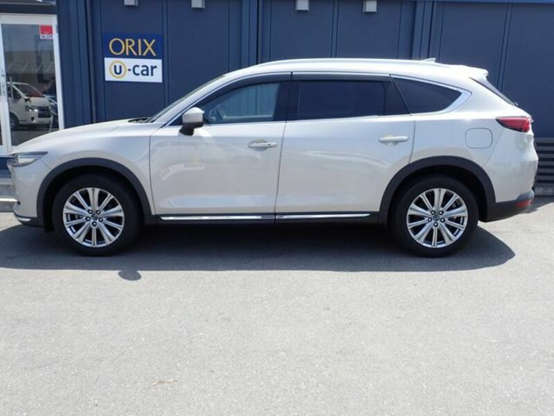 CX-8-29