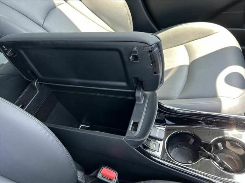 PRIUS-21
