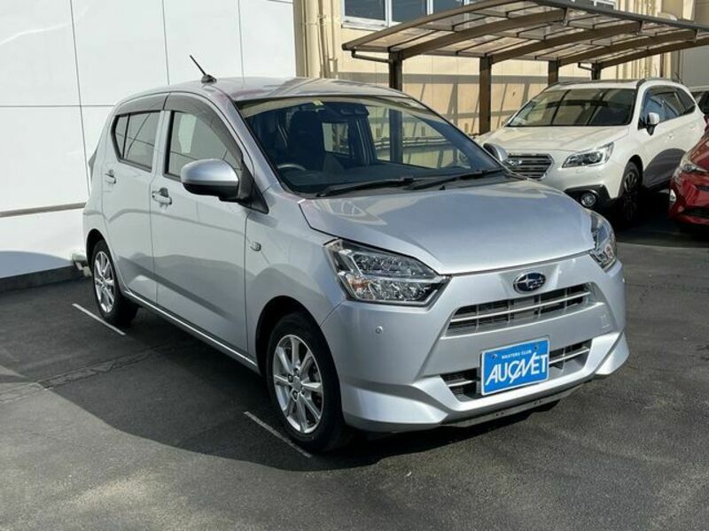 PLEO PLUS-2