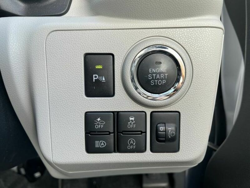 PLEO PLUS-28