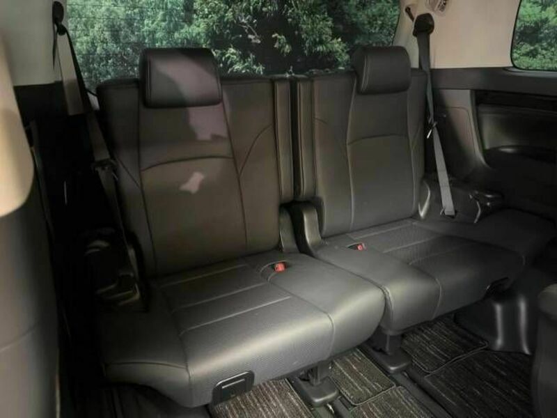 ALPHARD-13