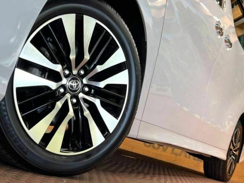 ALPHARD-16