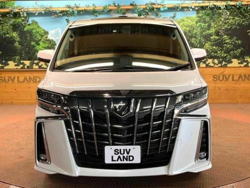 ALPHARD-17