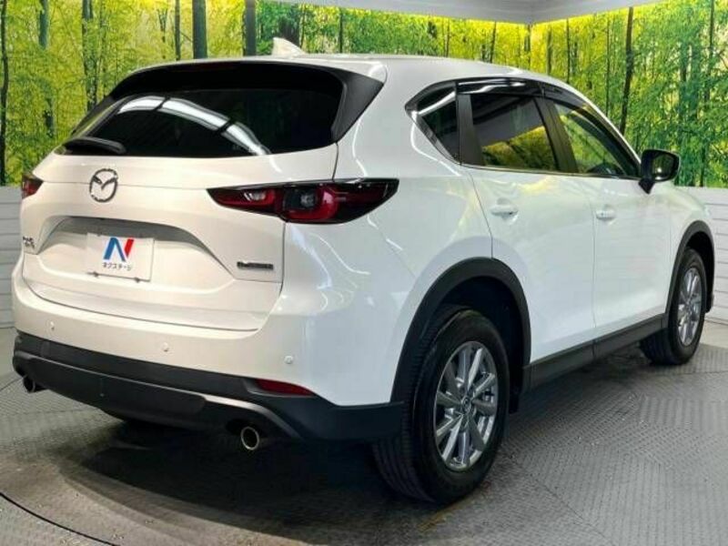 CX-5-17