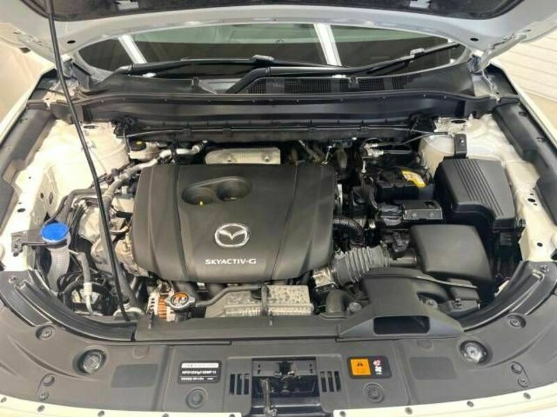 CX-5-18