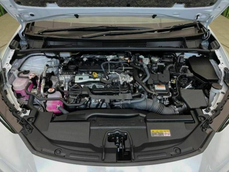 PRIUS-17