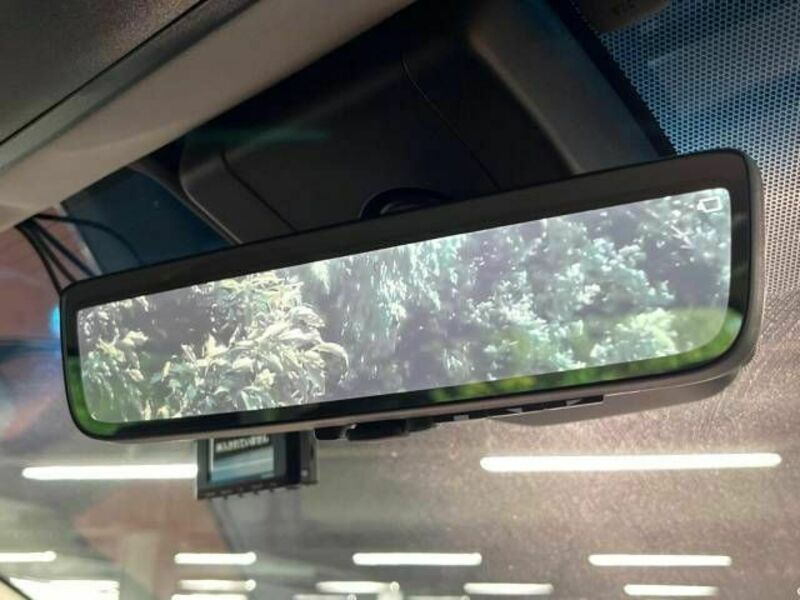 ALPHARD-10