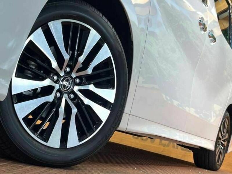 ALPHARD-16