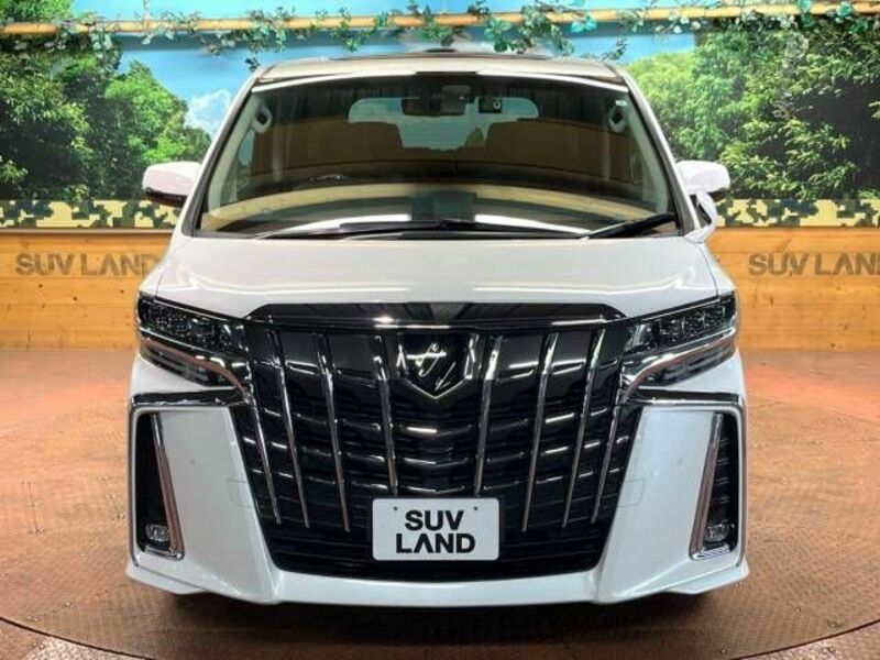 ALPHARD-17