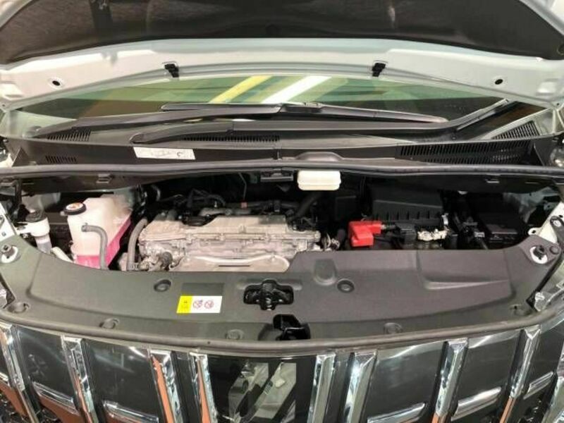 ALPHARD-19