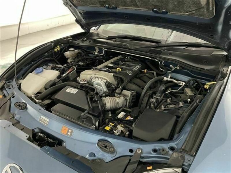 ROADSTER RF-11