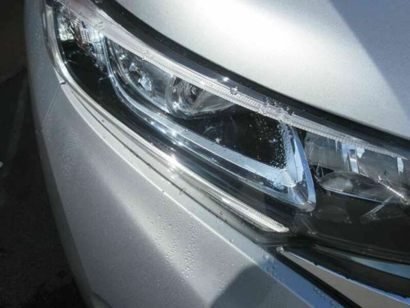 FREED HYBRID-6