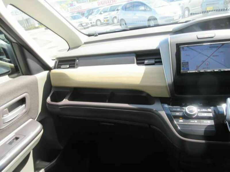 FREED HYBRID-13