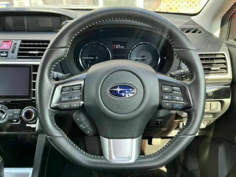 LEVORG
