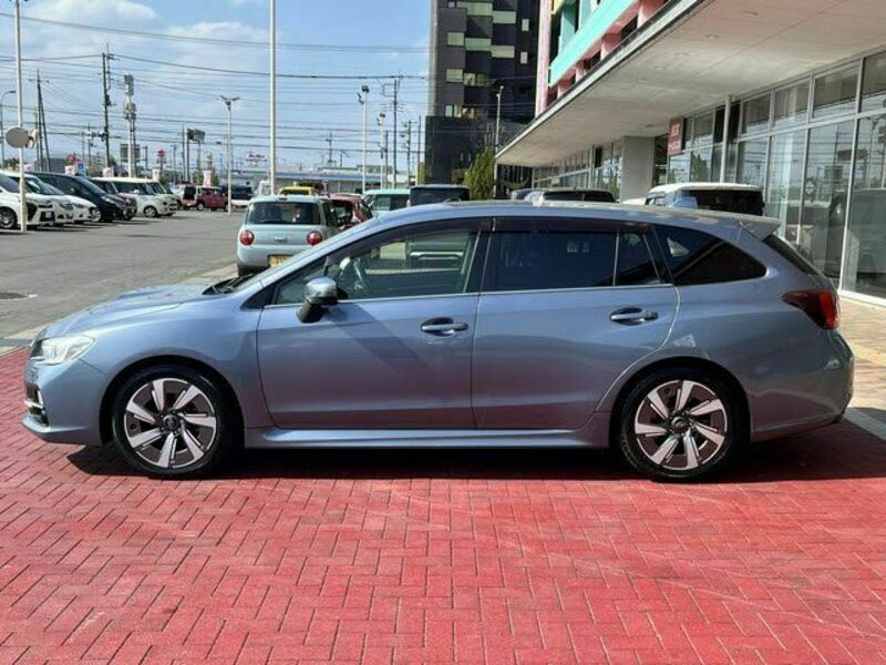 LEVORG