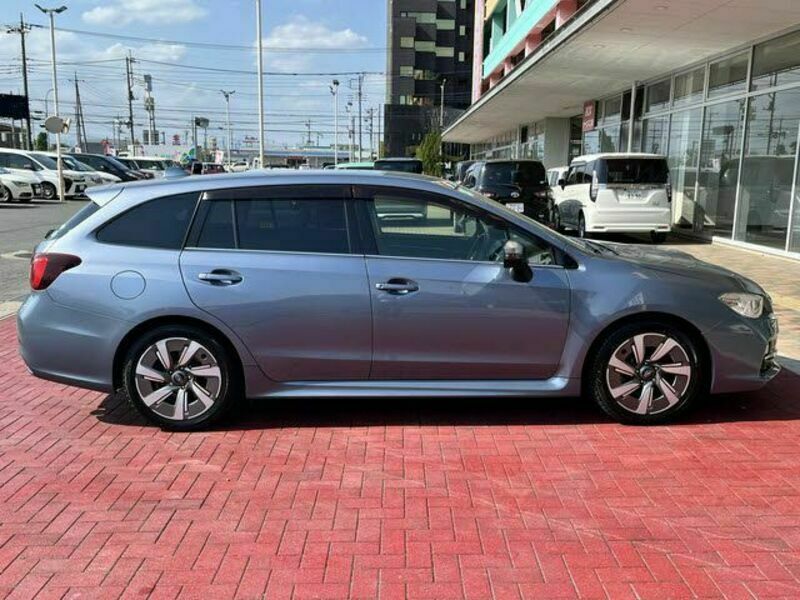 LEVORG