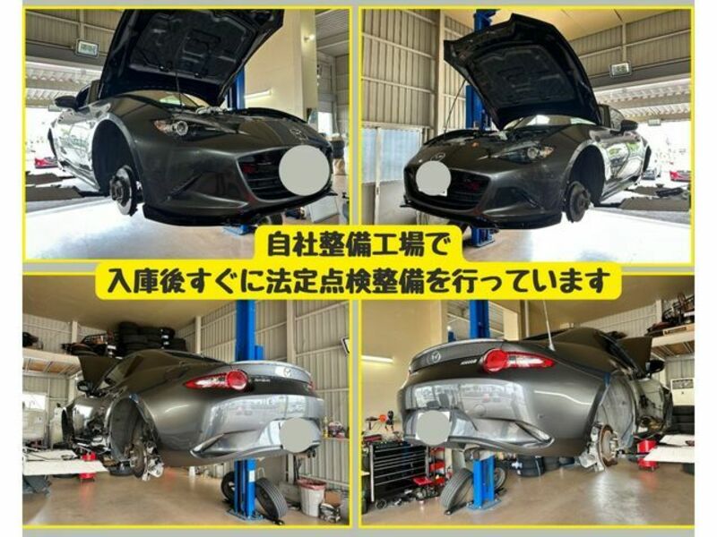 ROADSTER RF-3