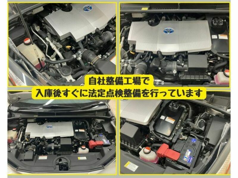 PRIUS-7